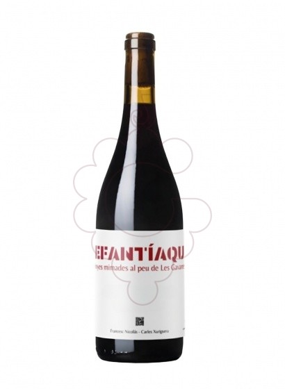 Photo Elefantìaques Syrah vin rouge