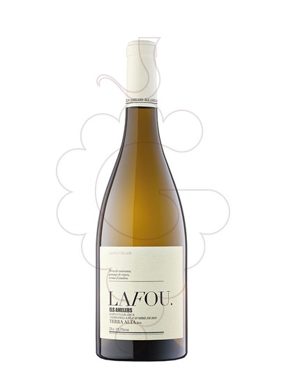 Photo Els Amelers Lafou vin blanc