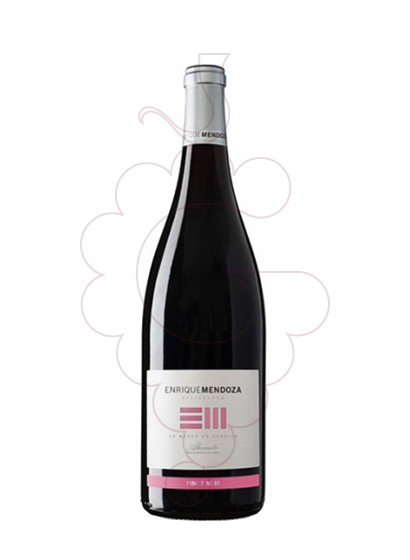 Photo Enrique Mendoza Pinot Noir vin rouge