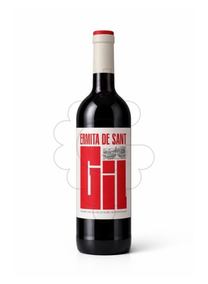 Photo Ermita de sant gil negre jove vin rouge