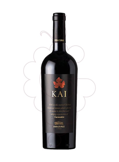 Photo Errazúriz Kai vin rouge