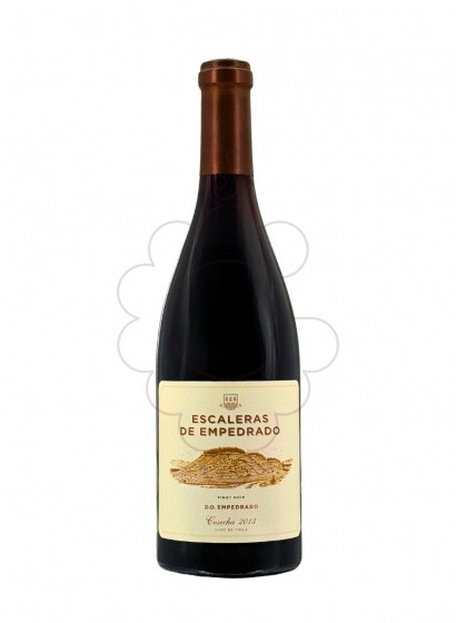 Photo Escaleras de empedrado (xile) vin rouge