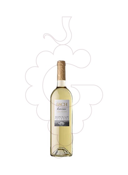 Photo Bach Blanc Doux (mini) vin blanc