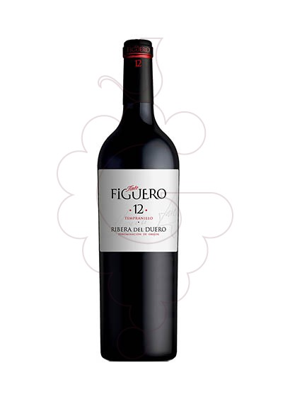 Photo Figuero 12 Meses Crianza Magnum vin rouge