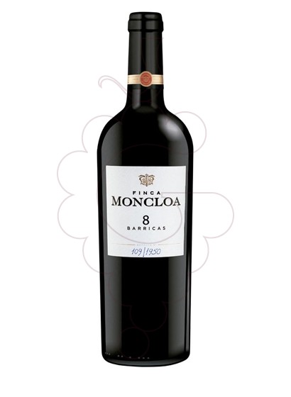 Photo Finca Moncloa 8 Barricas vin rouge