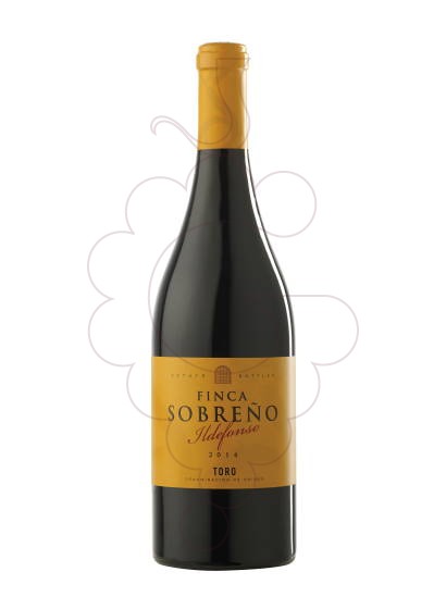 Photo Finca Sobreño Ildefonso  vin rouge