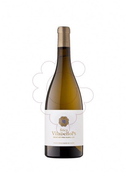 Photo Finca Viladellops Xarel·lo vin blanc