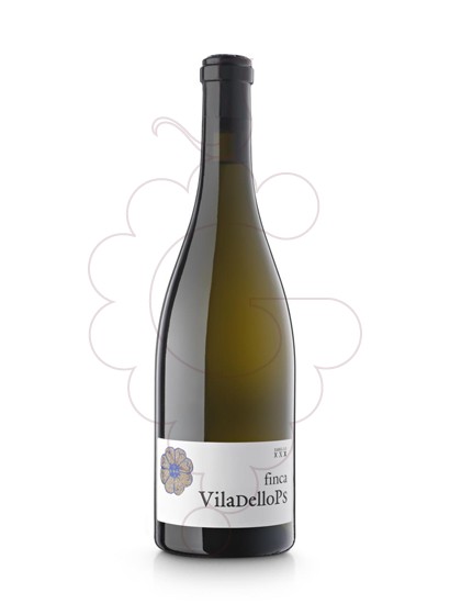 Photo Finca Viladellops Xarel·lo Magnum vin blanc