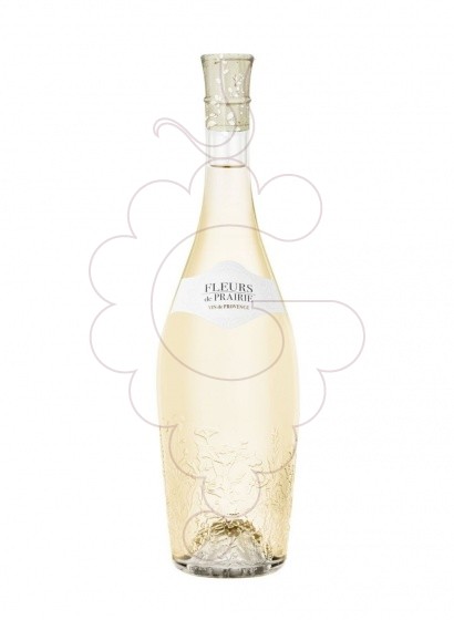 Photo Fleurs Prairie Provence Blanc vin blanc