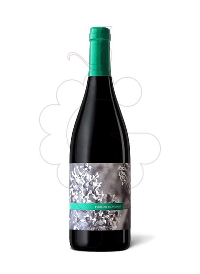 Photo Flor del Montsant  vin rouge