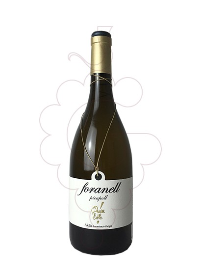 Photo Foranell Picapoll vin blanc