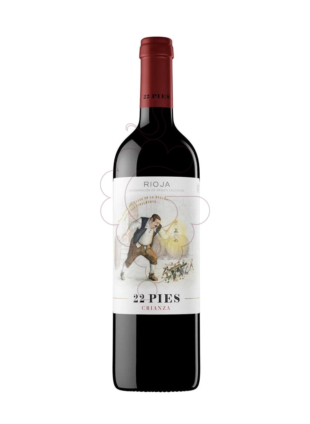 Photo 22 Pies Crianza Magnum vin rouge