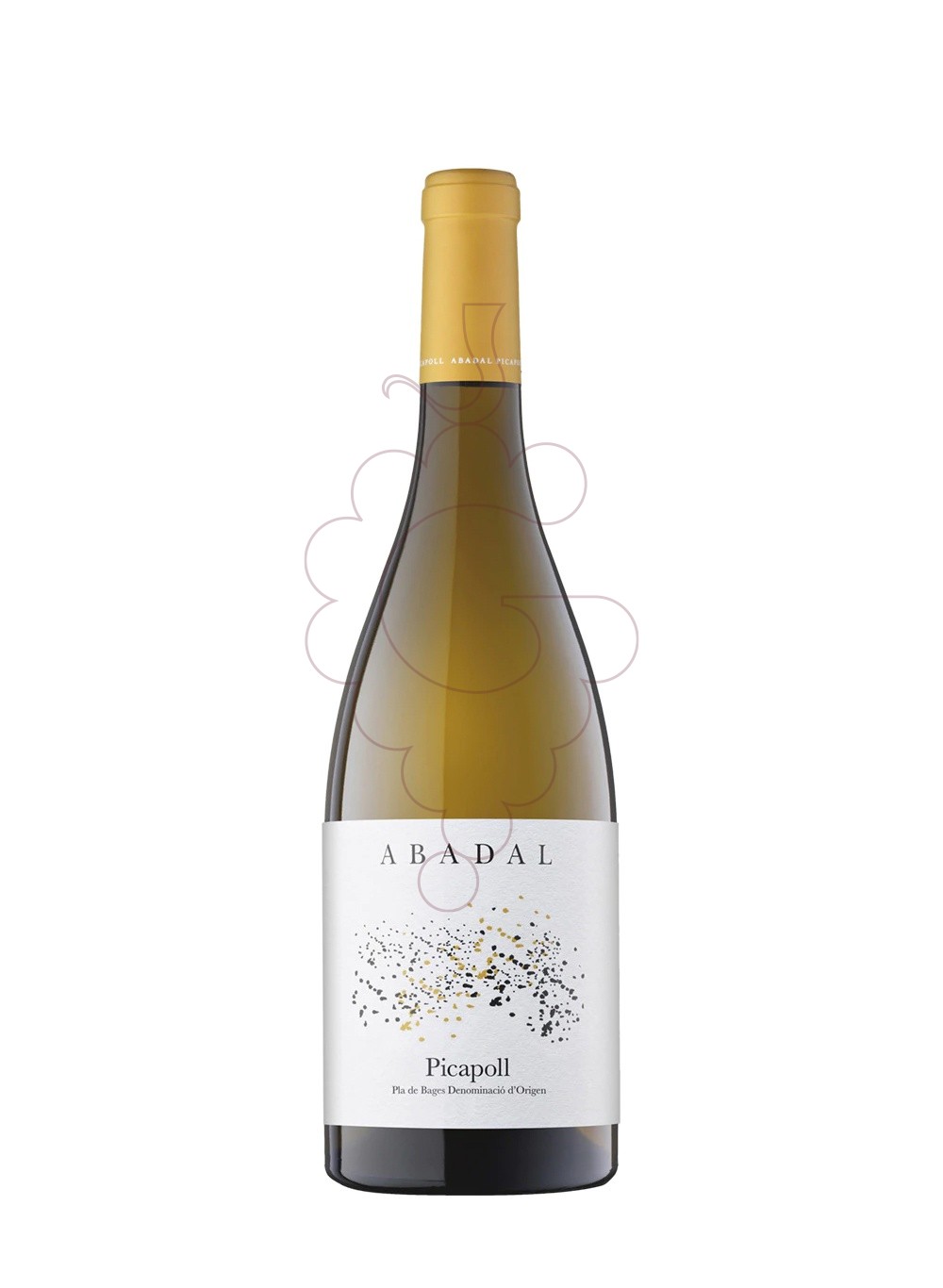 Photo Abadal Picapoll Magnum vin blanc