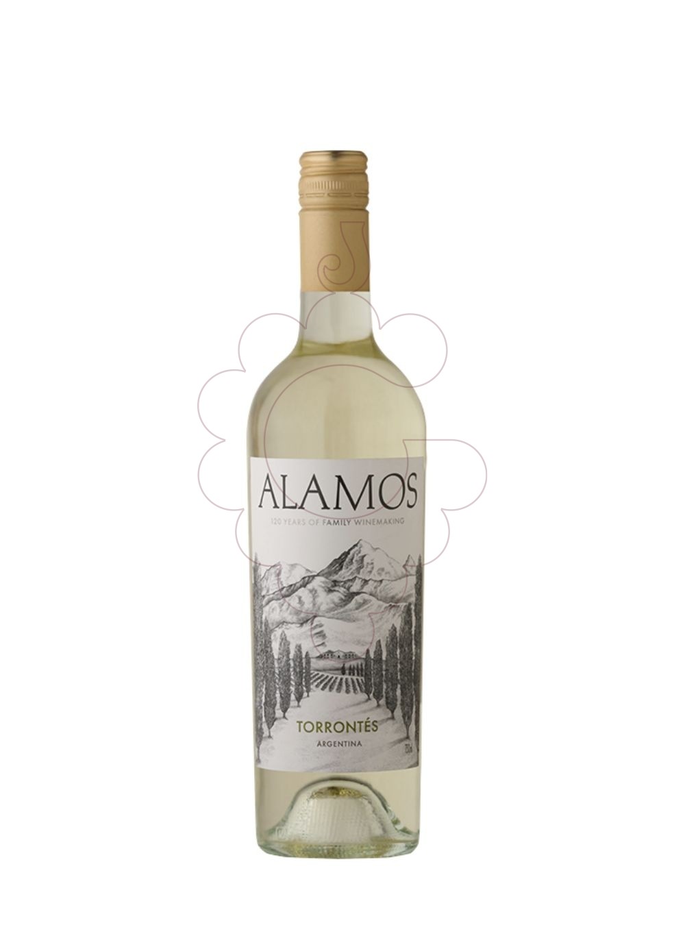 Photo Alamos Torrontés vin blanc
