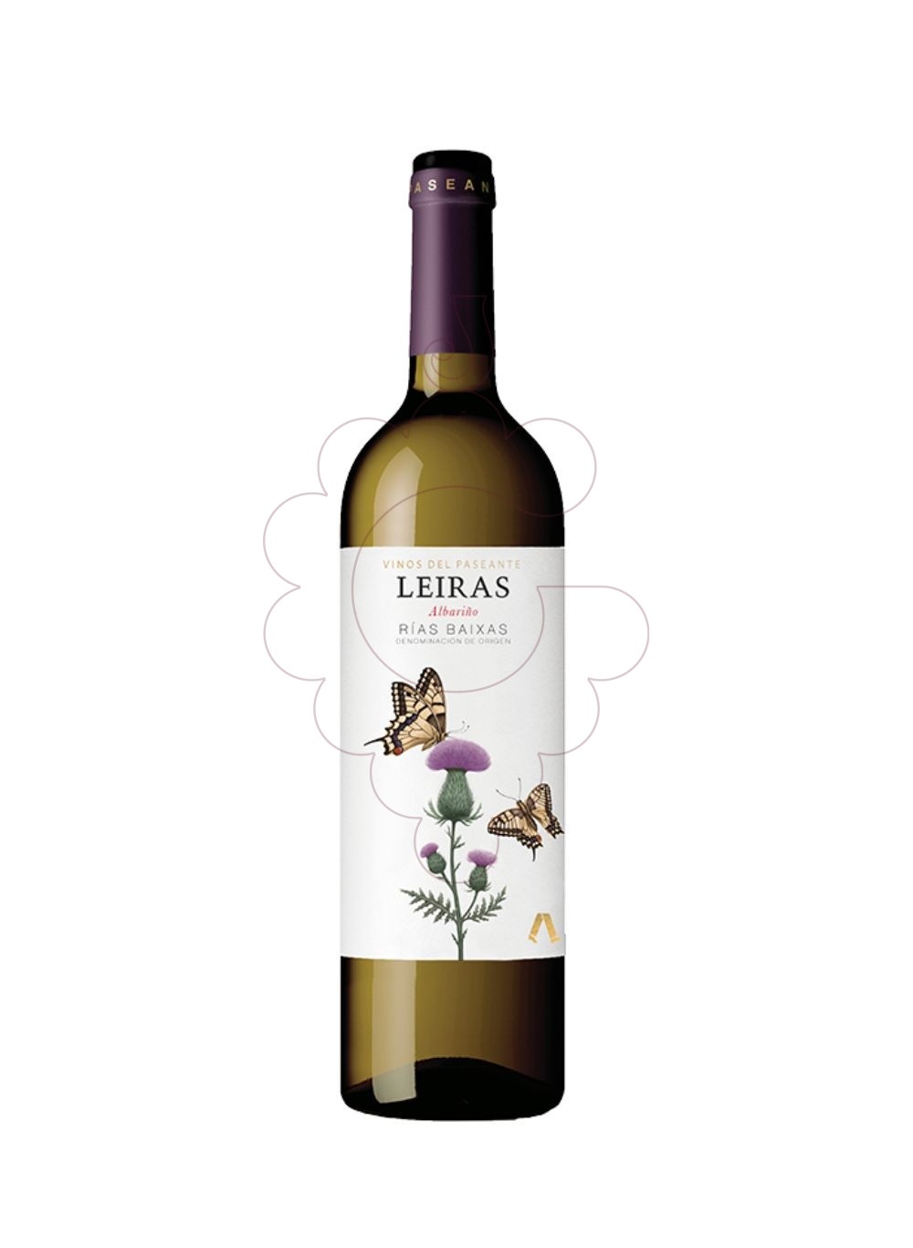 Photo Albariño Leiras vin blanc