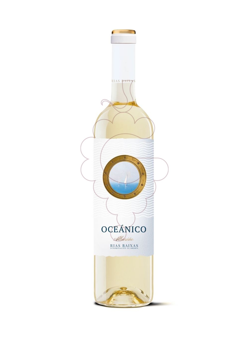 Photo Albariño Oceanico Tradicion vin blanc