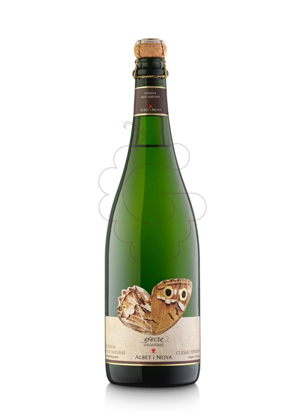 Photo Albet i Noya Ancestral Brut Nature vin mousseux