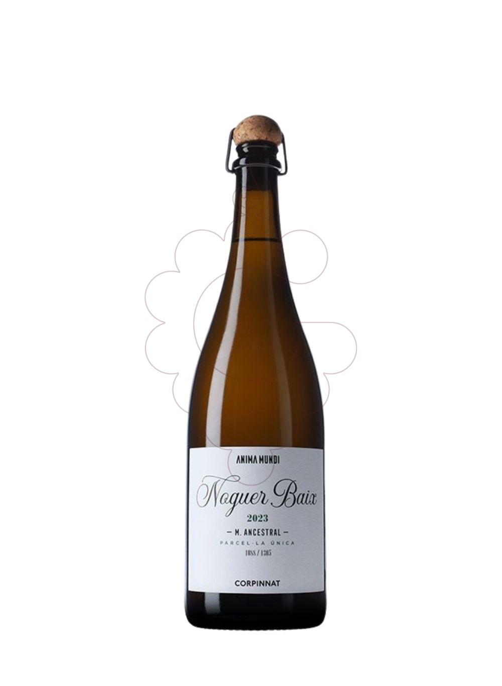 Photo A.mundi noguer baix ancestral vin mousseux