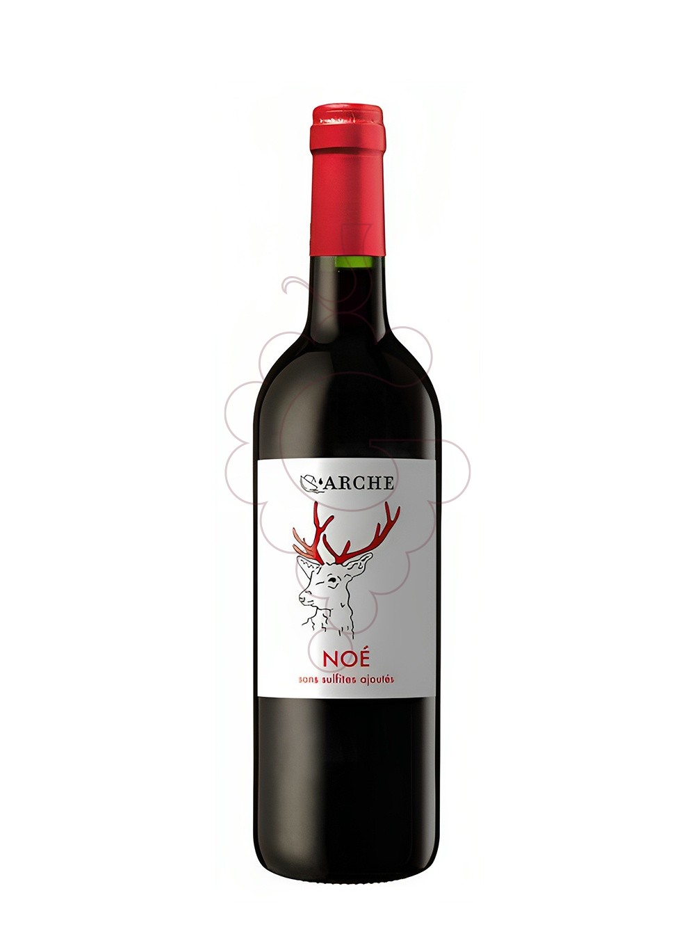 Photo Arche Noe vin rouge