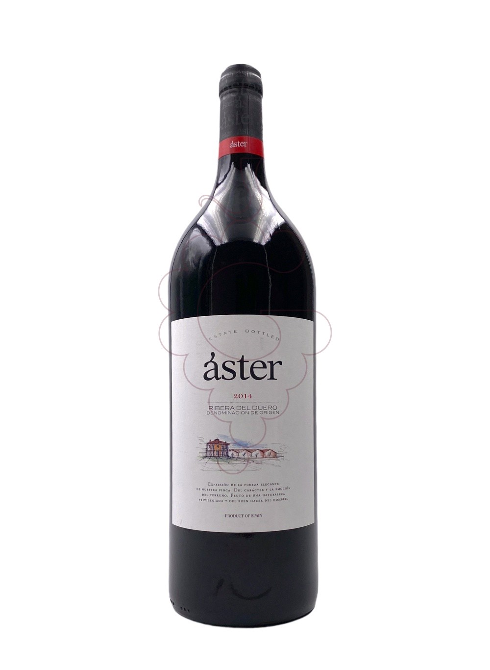 Photo Aster Crianza Magnum vin rouge