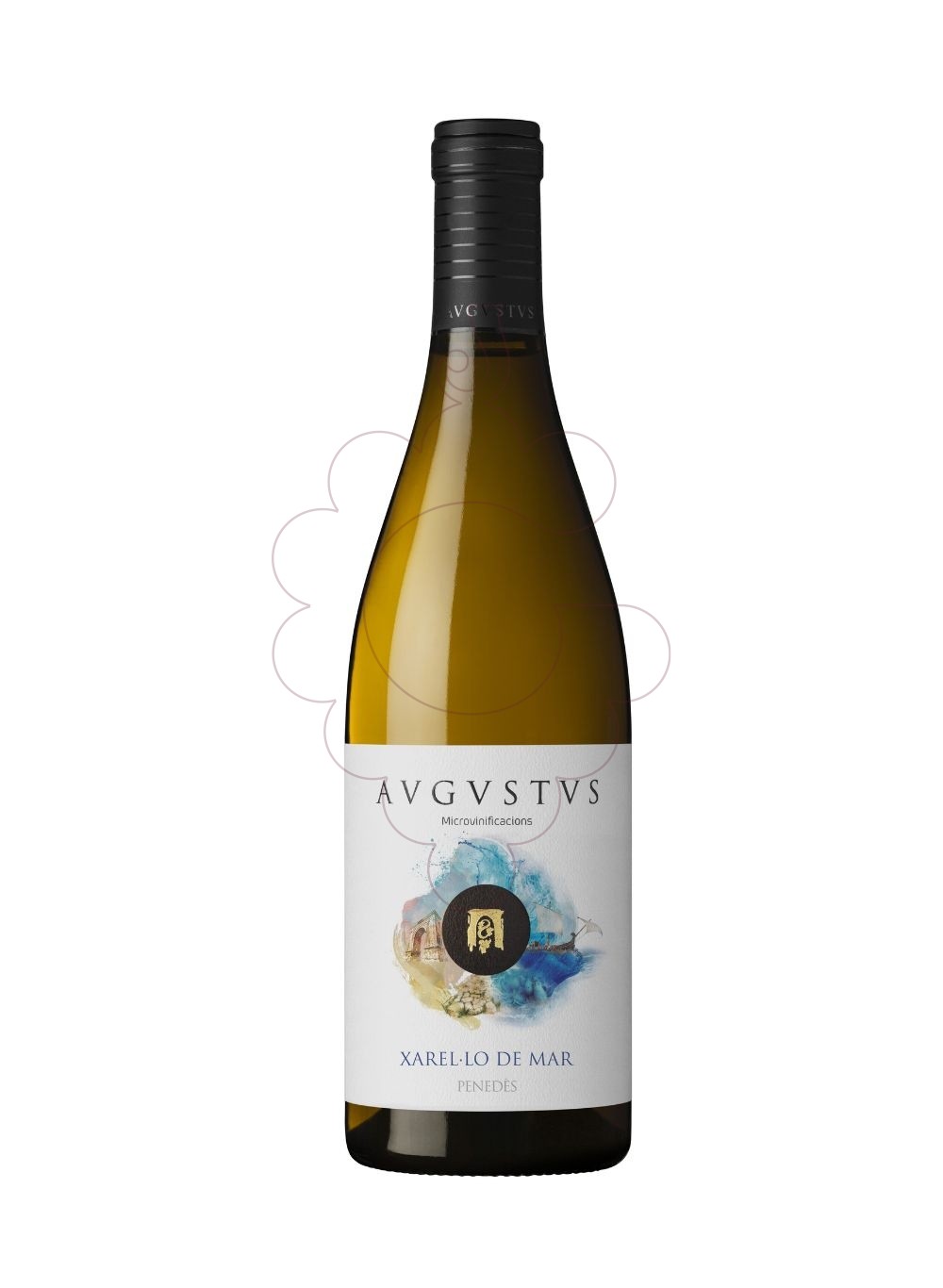 Photo Augustus Xarel.lo de Mar vin blanc