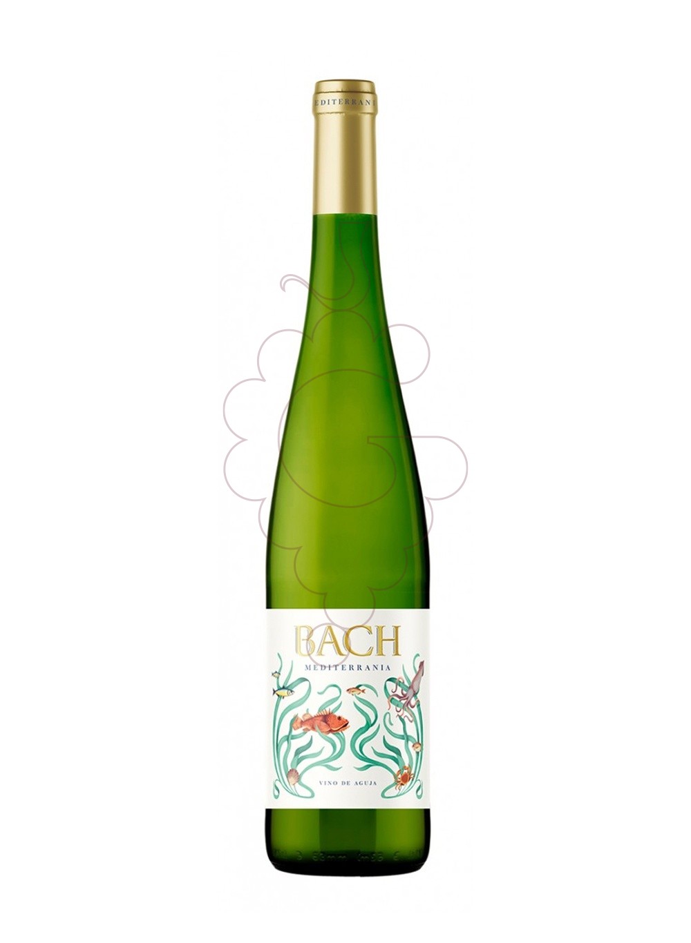 Photo Bach Mediterranea  vin mousseux
