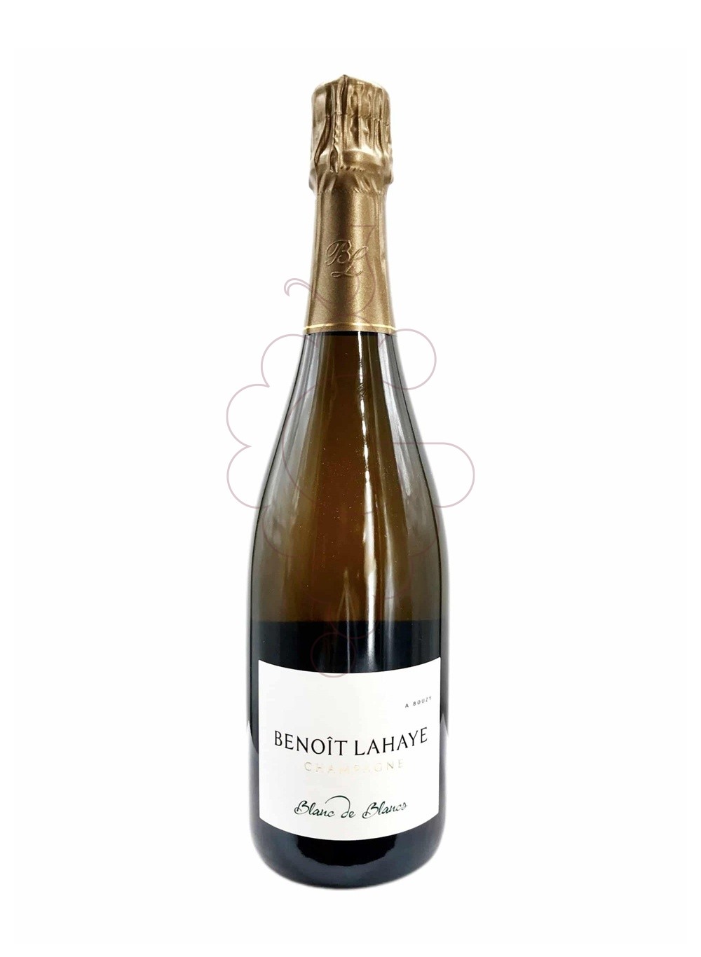 Photo Benoit Lahaye Blanc de Blancs vin mousseux