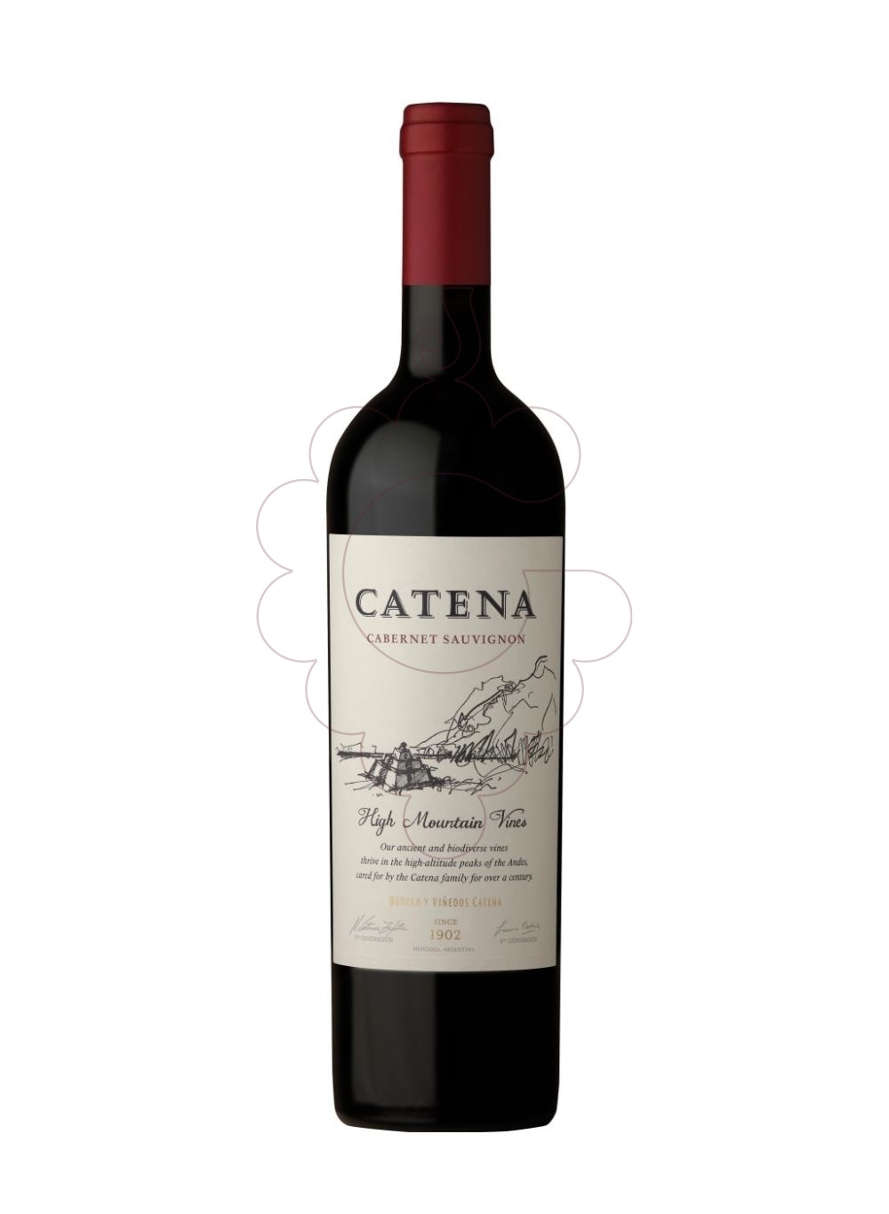 Photo Catena Cabernet Sauvignon vin rouge