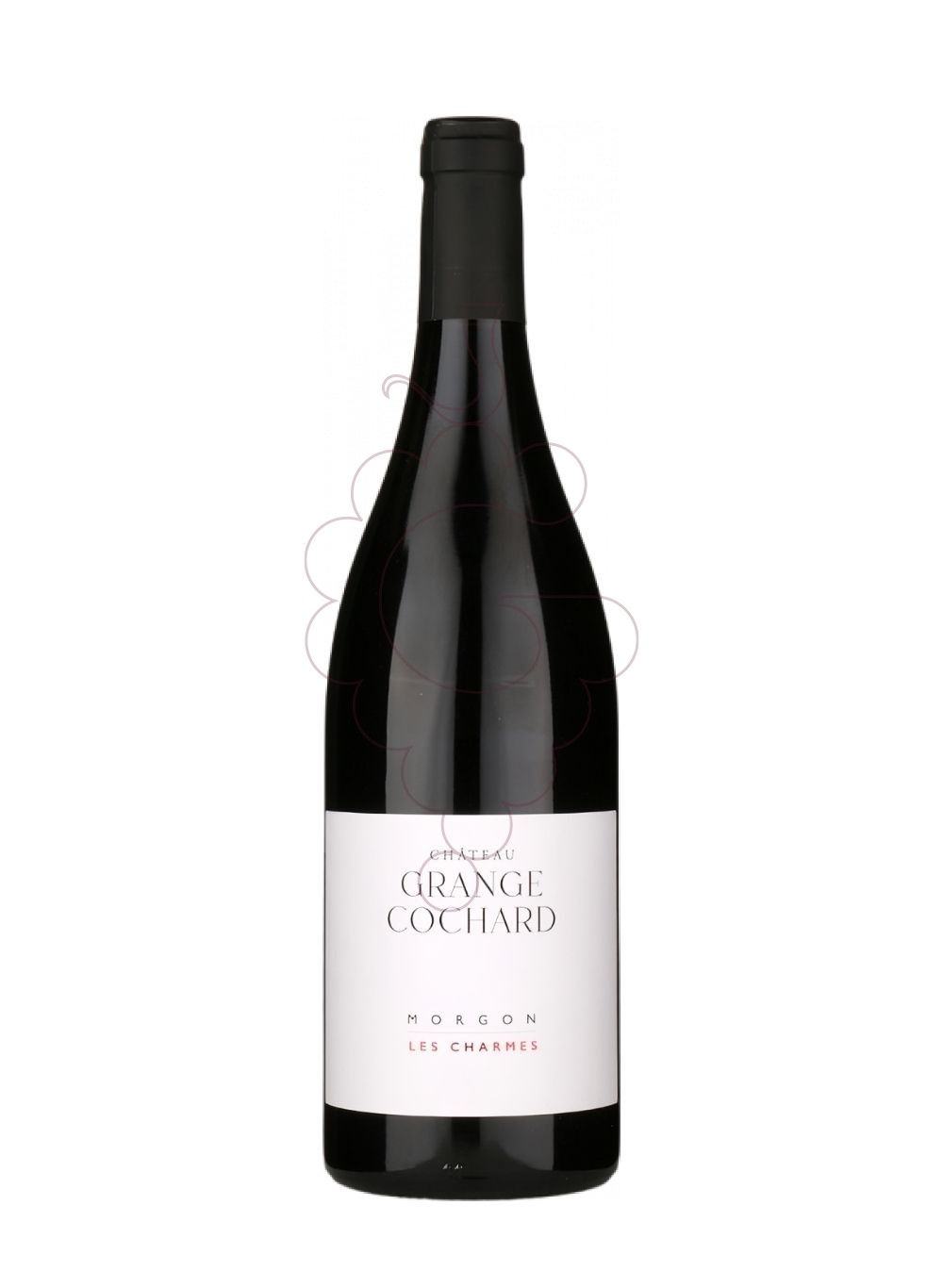 Photo Grange Cochard Morgon Les Charmes vin rouge