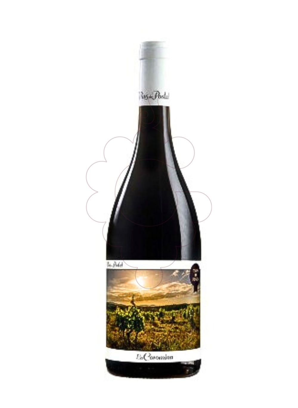 Photo La Coromina Vins de Postal Espolla vin rouge