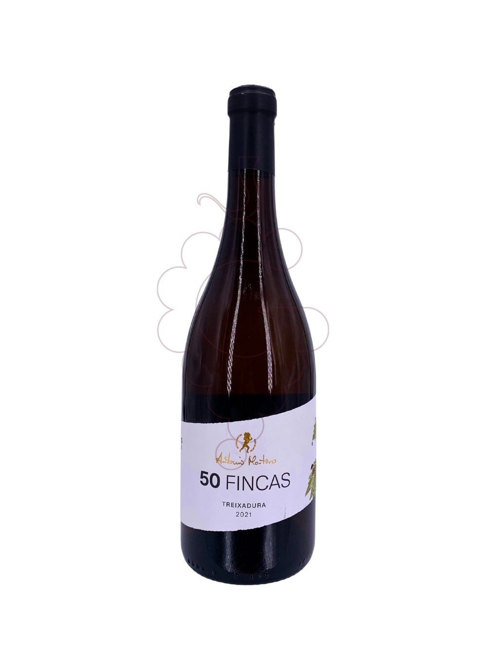 Photo Antonio Montero de Finca vin blanc