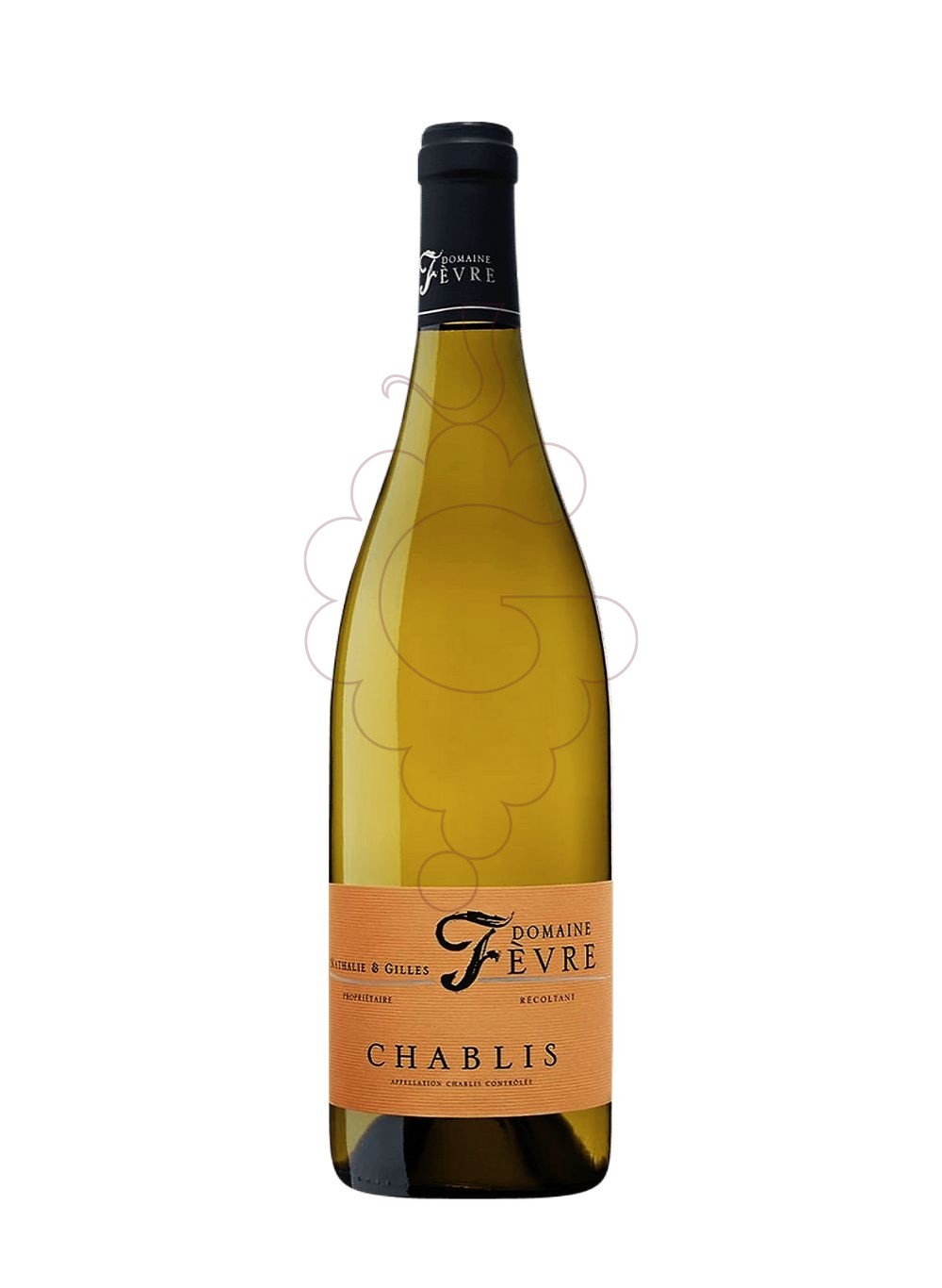 Photo Nathalie & Gilles Fèvre Chablis vin blanc