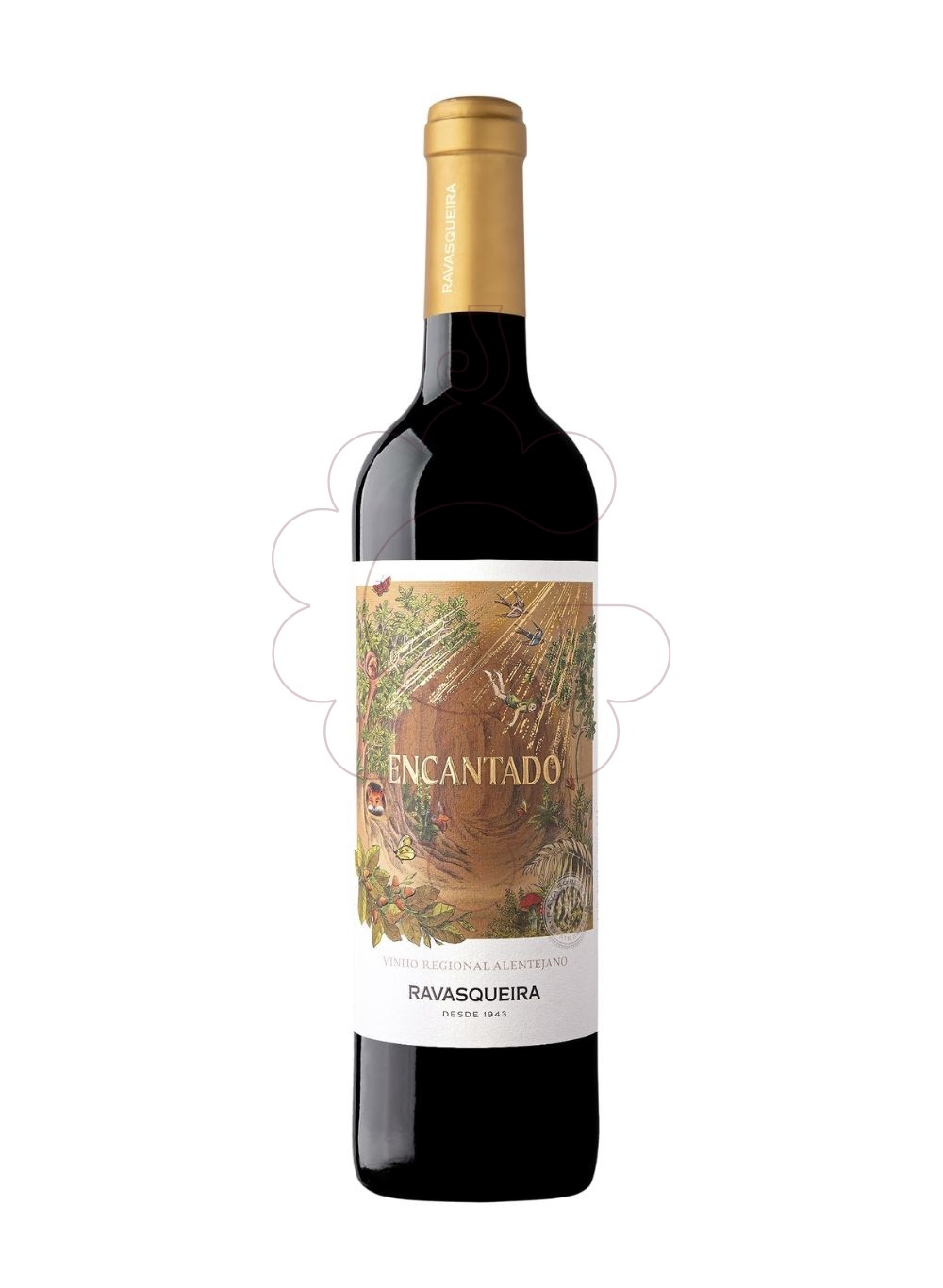 Photo Encantado Ravasqueira negre vin rouge