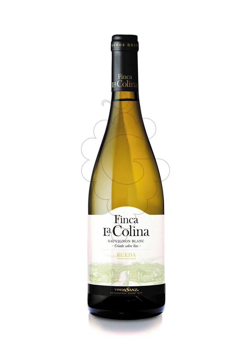 Photo Finca la Colina Sauvignon Blanc vin blanc