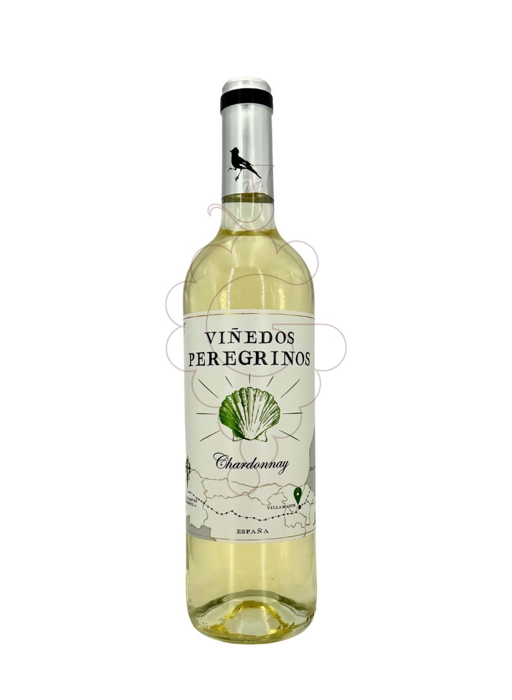 Photo Viñedos del Villar vin blanc