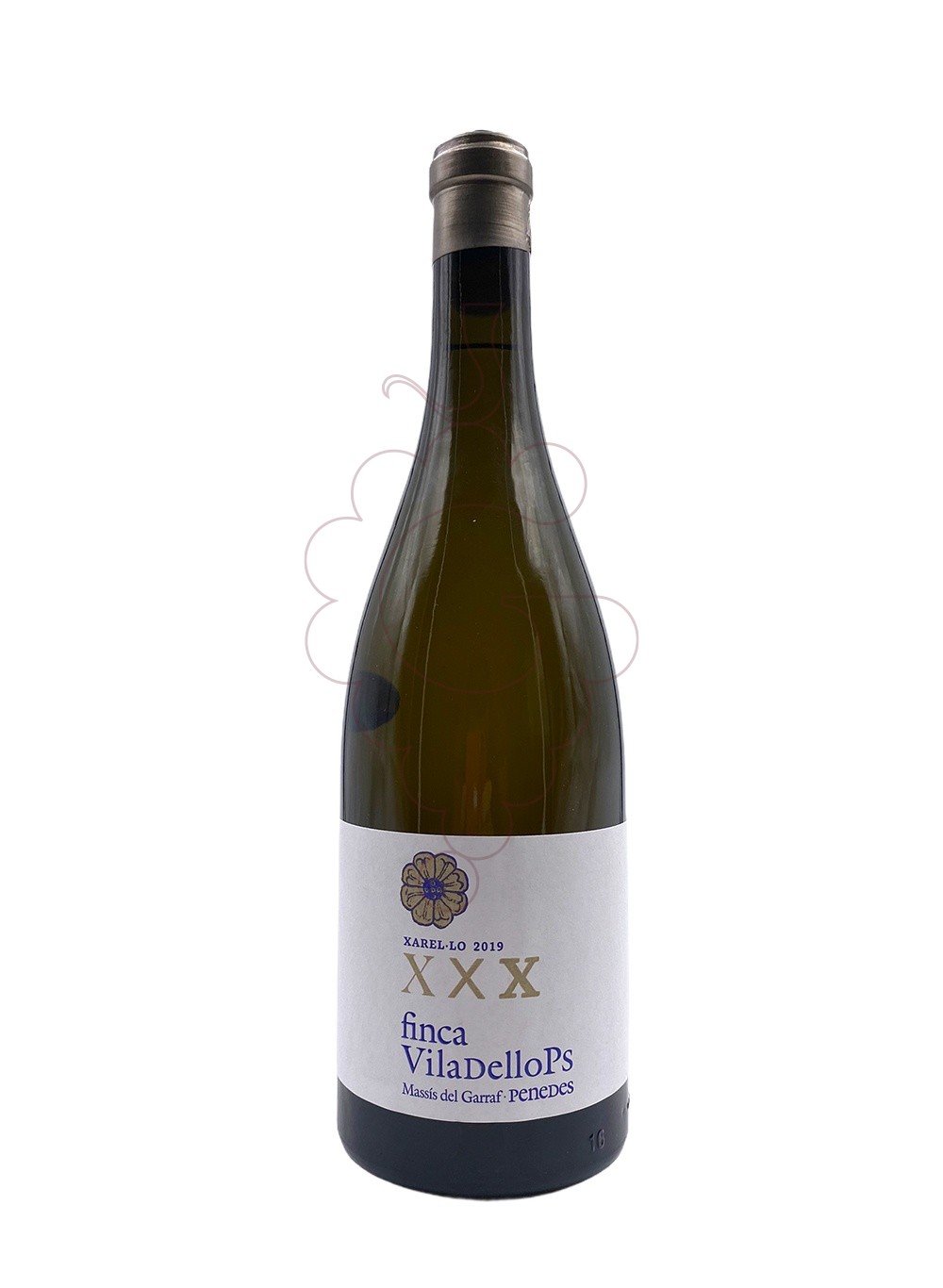 Photo Finca Viladellops Xarel·lo vin blanc