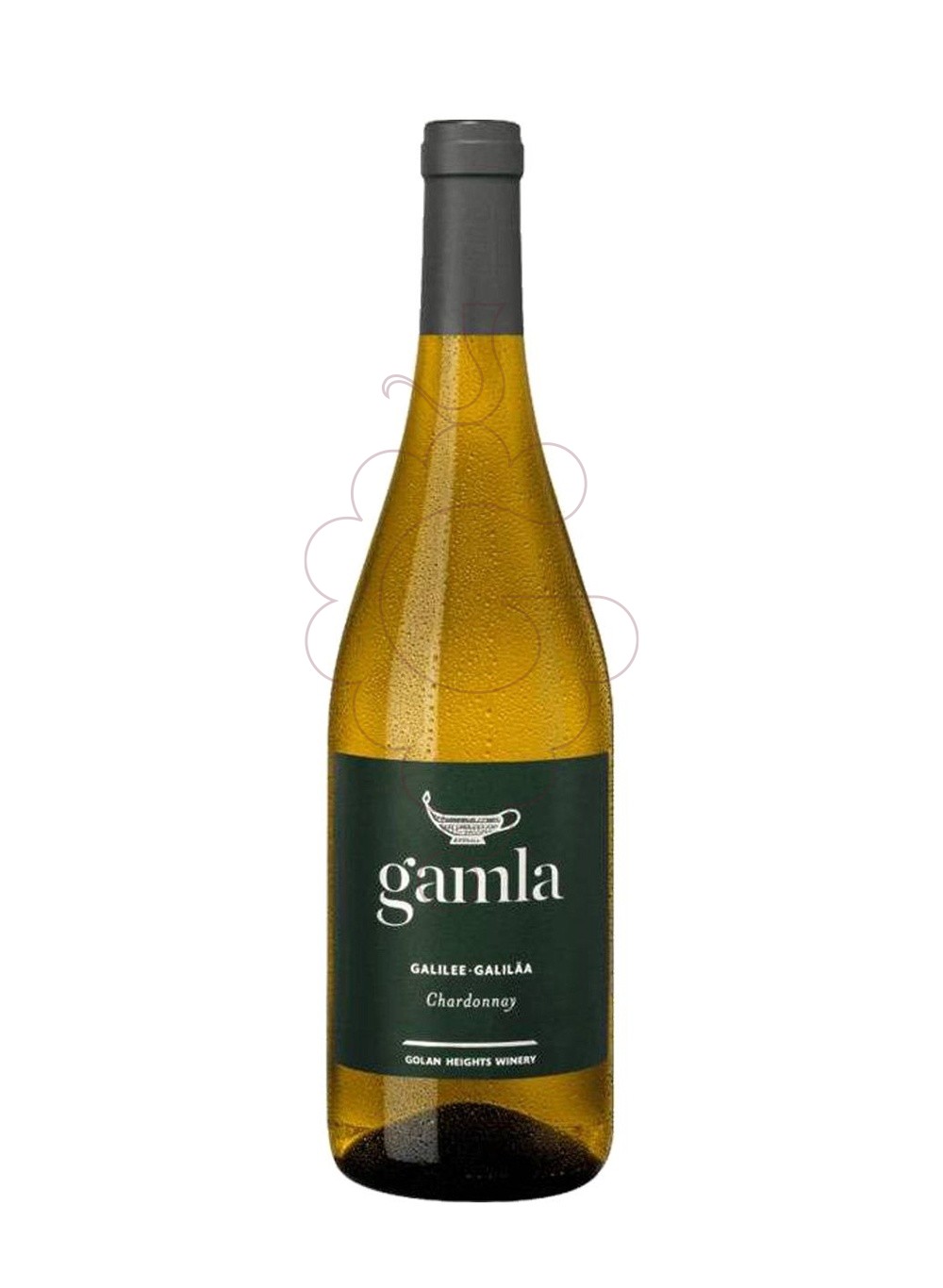 Photo Gamla galilee israel chard bl vin blanc