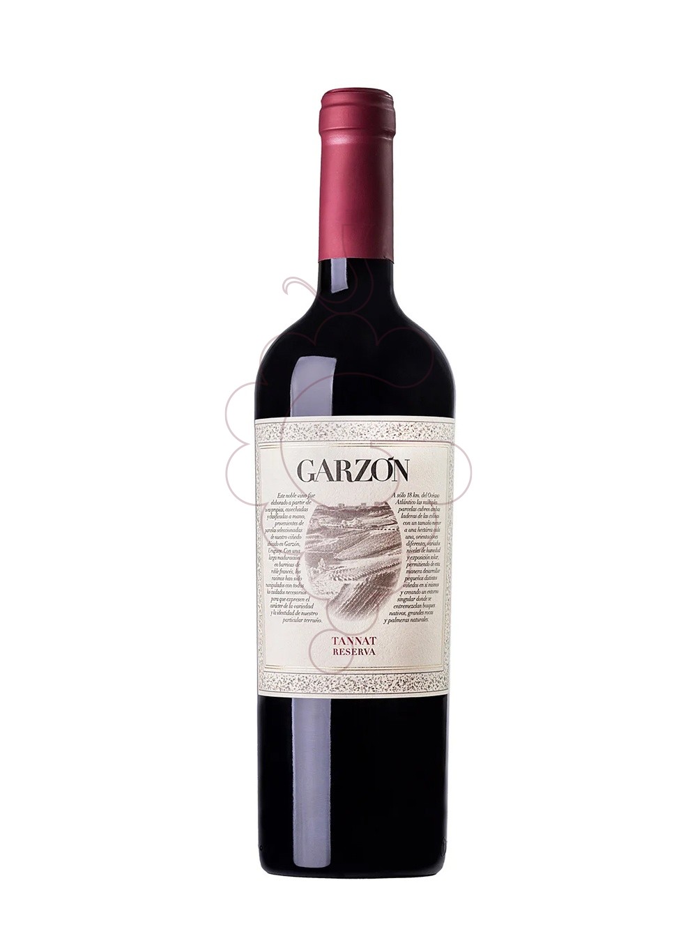 Photo Garzon tannat res.2021 75 cl vin rouge