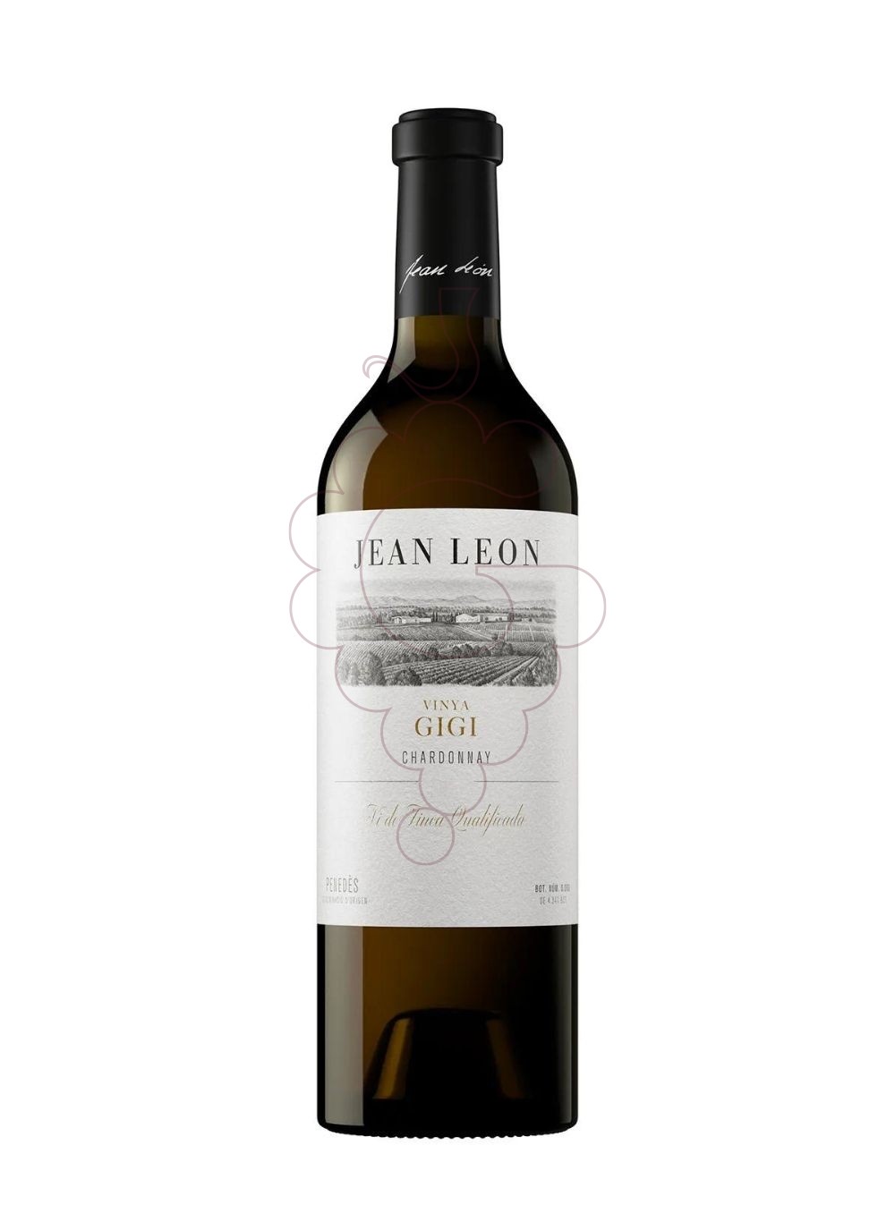 Photo Jean Leon Vinya Gigi vin blanc