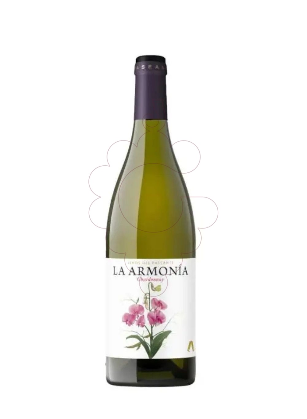 Photo La armonia blanc chardonnay vin blanc