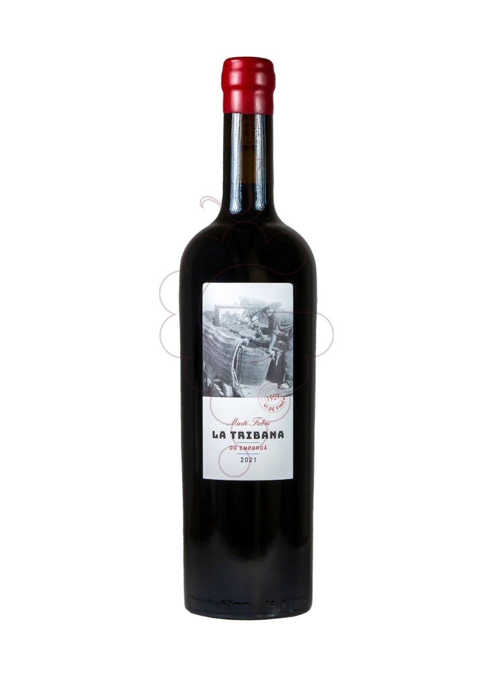 Photo La tribana marti fabra 2021 vin rouge