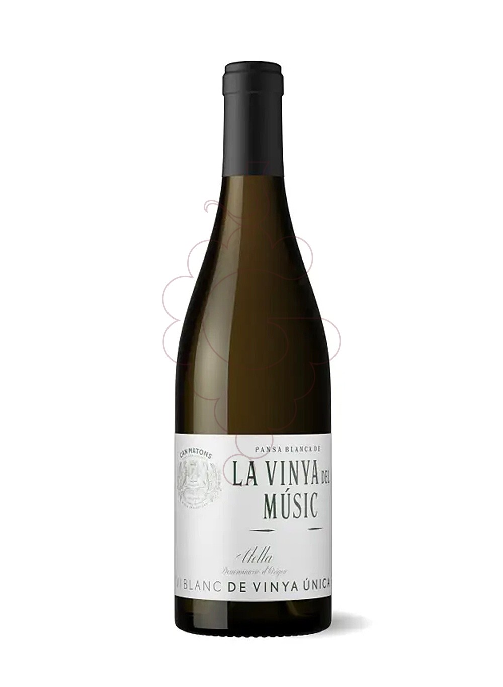 Photo Can Matons La Vinya del Músic vin blanc