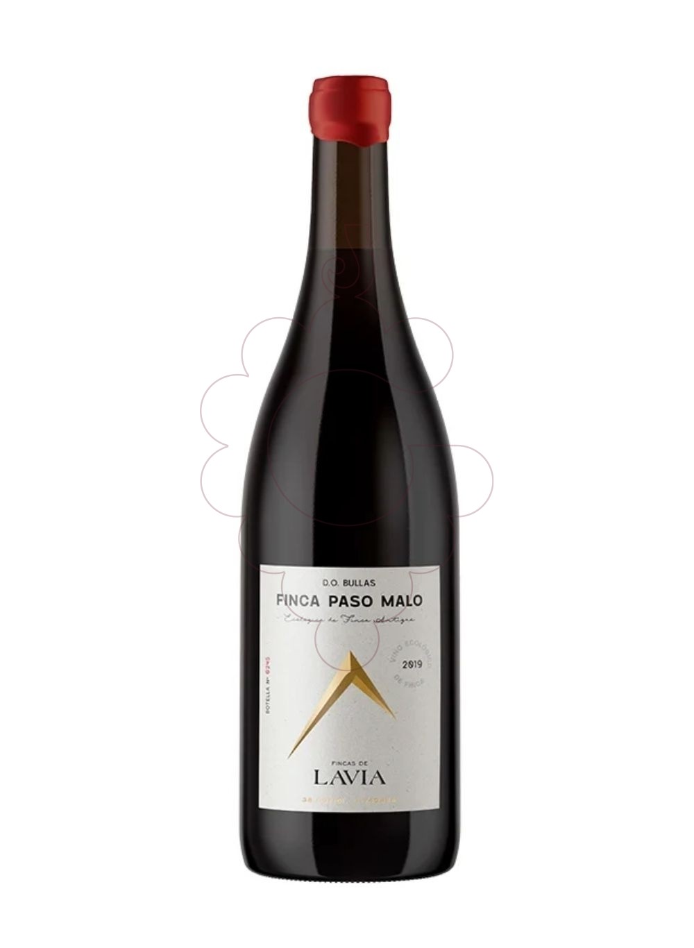 Photo Lavia finca paso malo 2019 vin rouge
