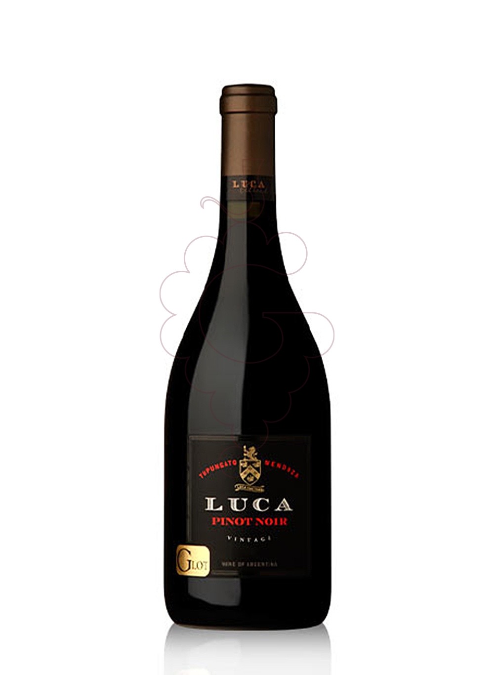 Photo Luca Pinot Noir vin rouge