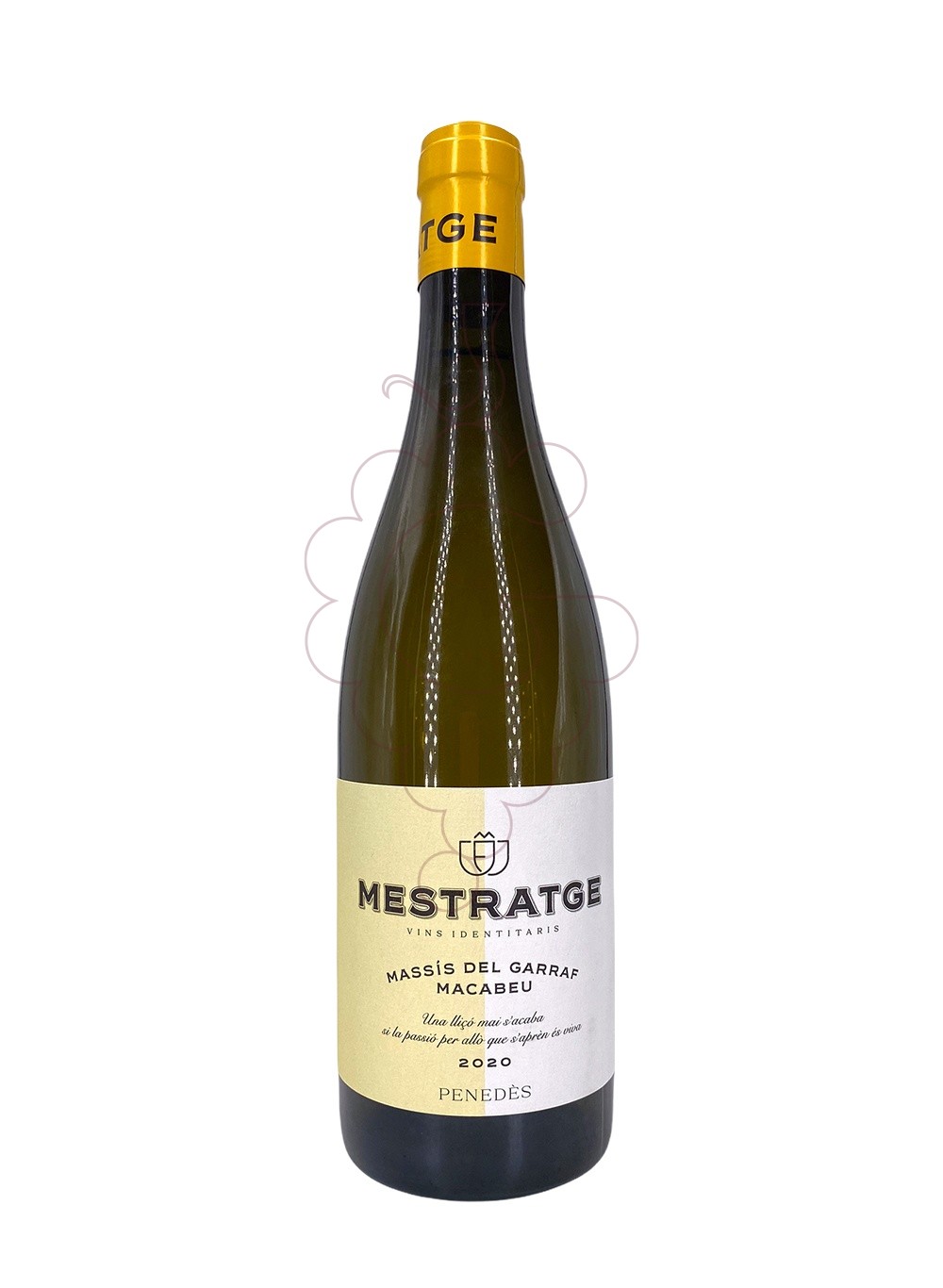 Photo Mestratge Macabeu vin blanc