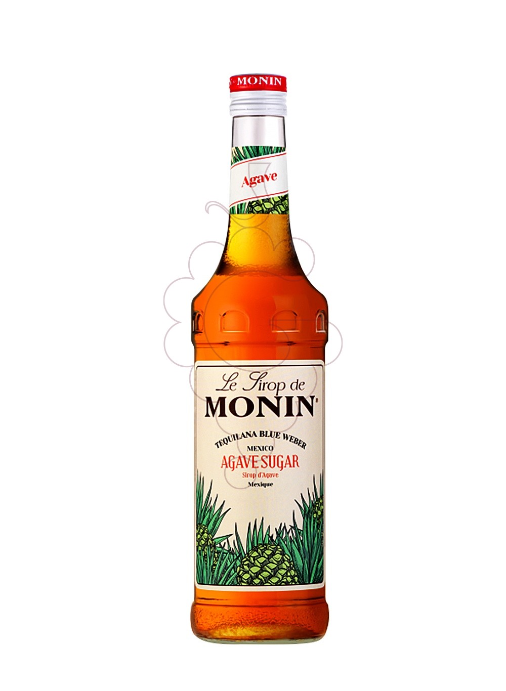 Photo Sirops Monin Agave (s/alcohol)