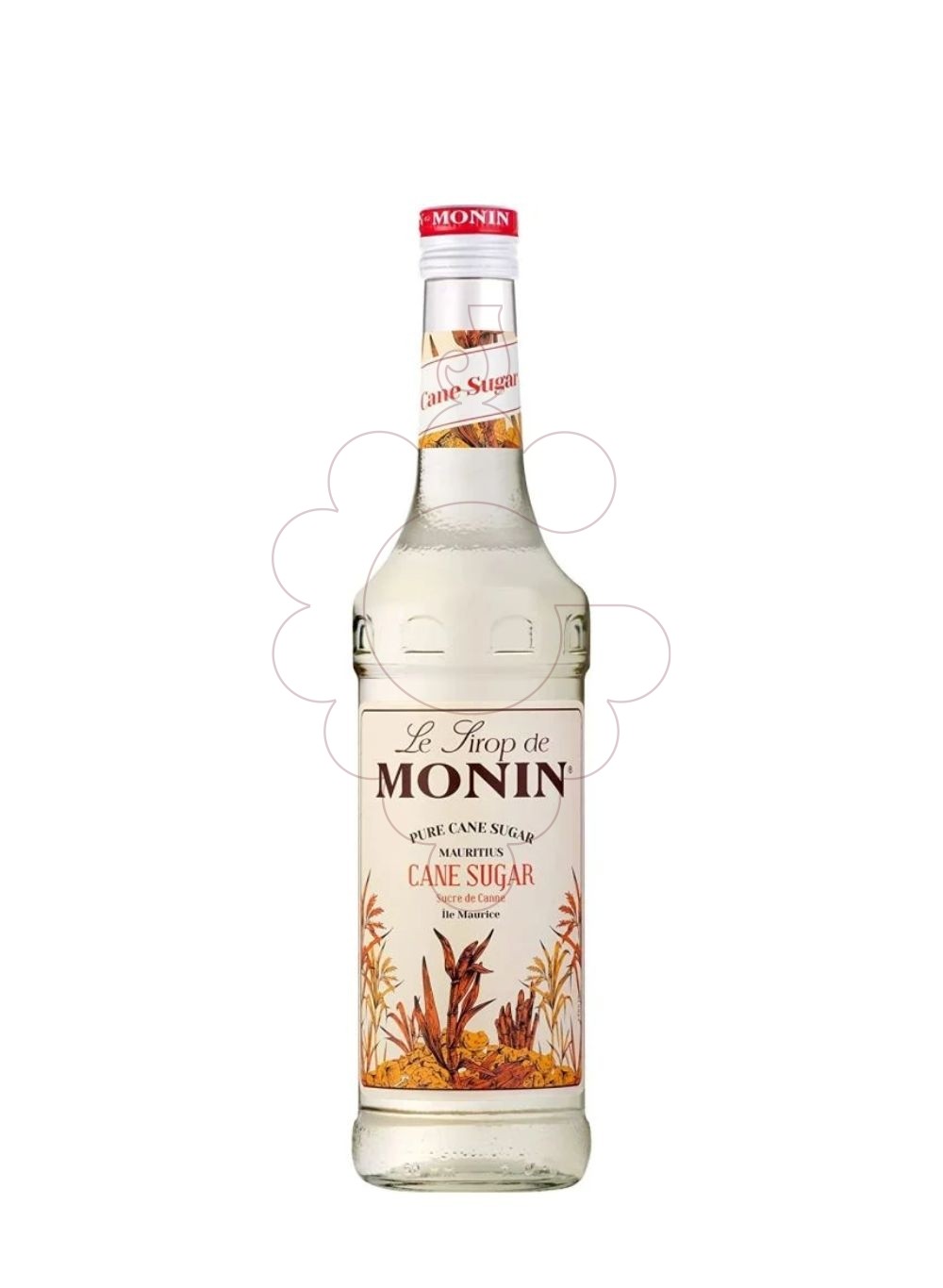 Photo Sirops Monin Pur Sucre de Canne (s/alcohol) PET