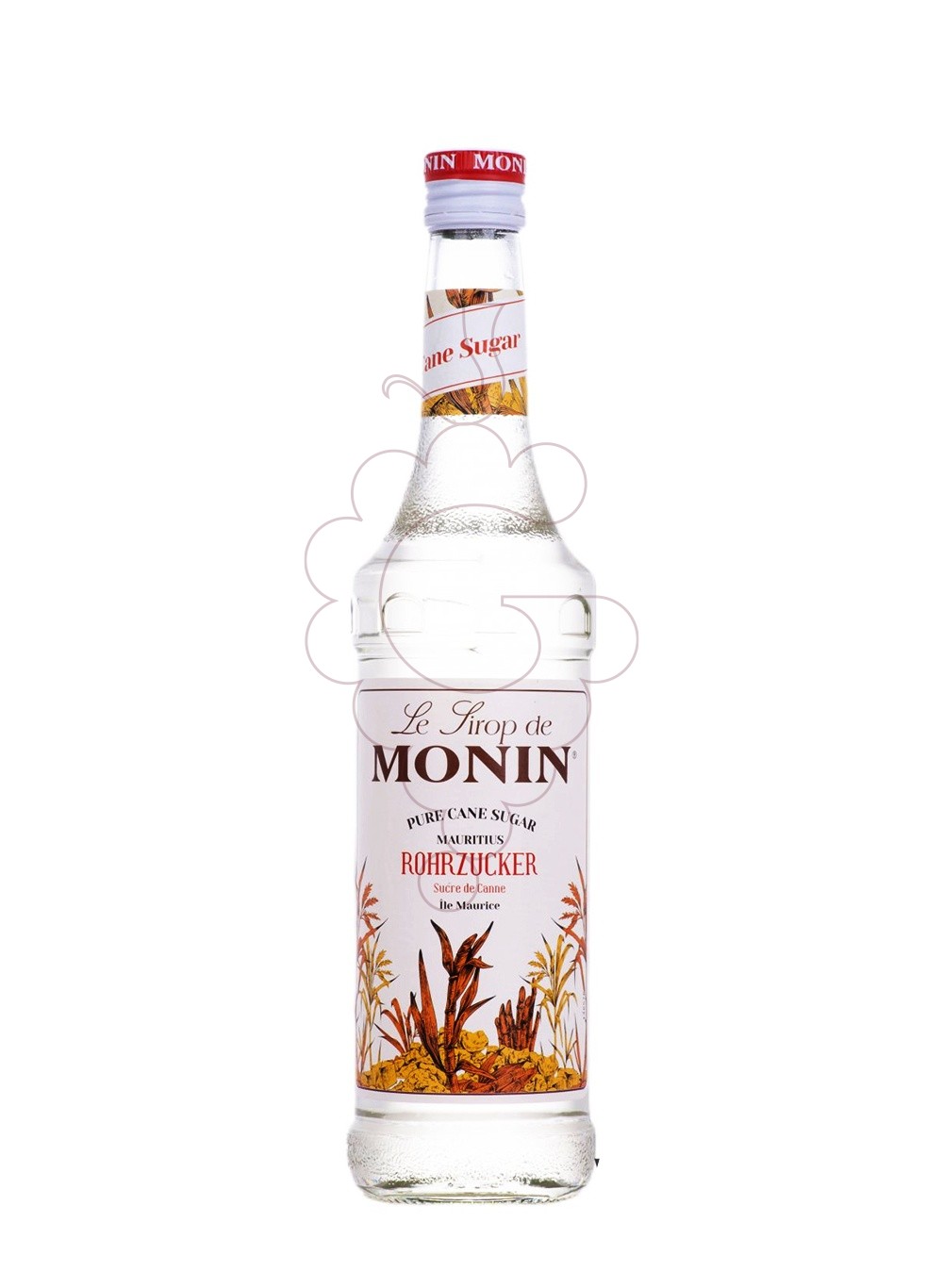 Photo Sirops Monin Pur Sucre de Canne (s/alcohol)