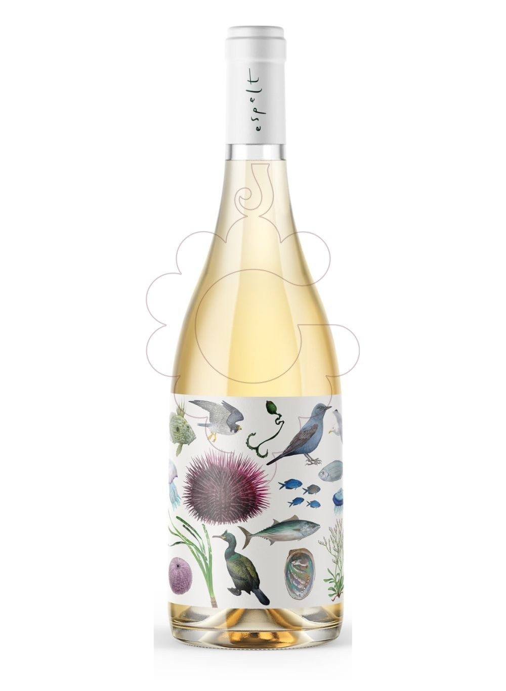 Photo Mosaic Blanc vin blanc