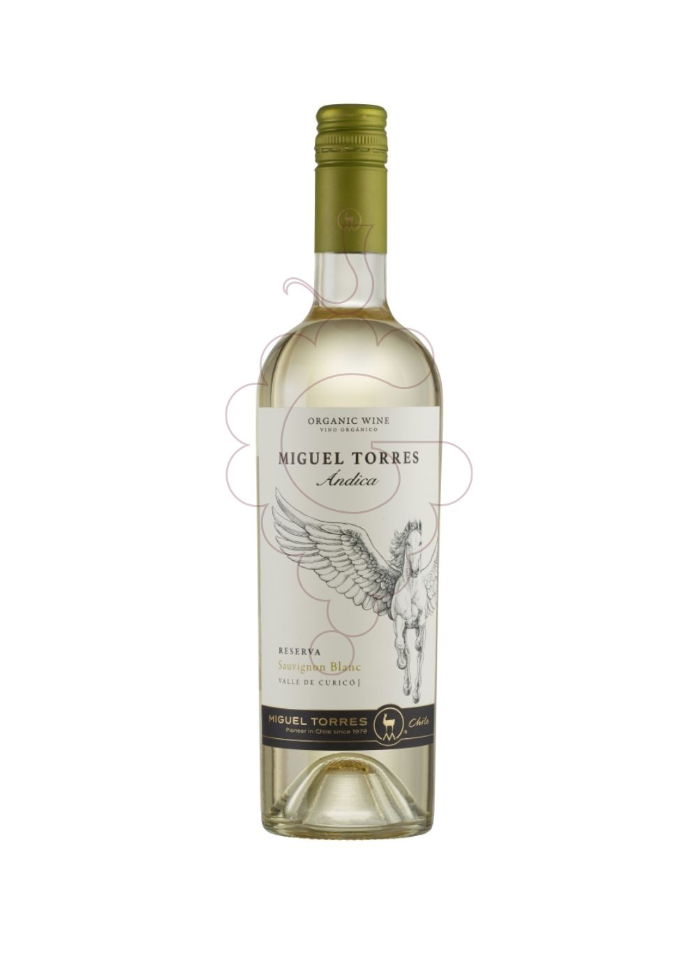 Photo Miguel Torres Andica Sauvignon vin blanc